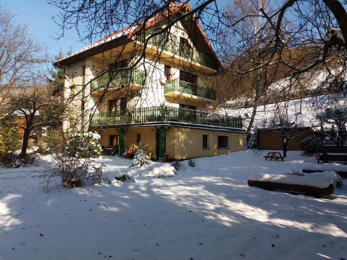 Willa Mirabelka Piwniczna-Zdroj Exterior photo